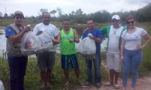 Três comunidades da Ilha de Mosqueiro recebem alevinos da Sepaq 