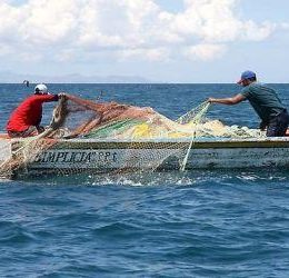 Engenheiro de pesca contribui para aumento na produção de pescado