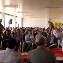 Municípios de Mato Grosso preveem que peixe dará faturamento equivalente a soja