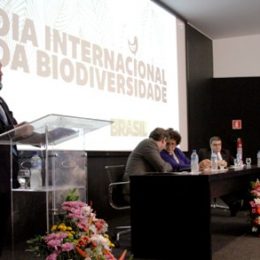 Moratória para a pesca da piracatinga e proibição para a captura de duas espécies de tubarões