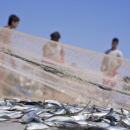 Petrobras terá que pagar indenização a pescadores em Sergipe