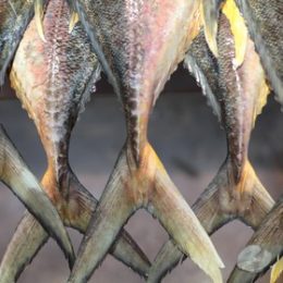 Governo endurece controle de comércio de pescado