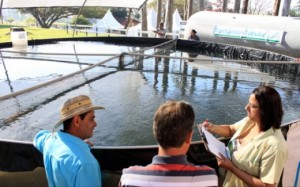 Cresce demanda na produção de peixes