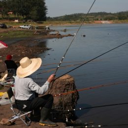 Seca prolongada ameaça peixes