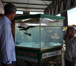 Produtores discutem manejo na piscicultura em Ariquemes, RO