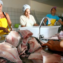 MPA e MAPA prorrogam acordo de cooperação em sanidade pesqueira e aquícola