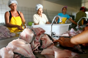 MPA e MAPA prorrogam acordo de cooperação em sanidade pesqueira e aquícola