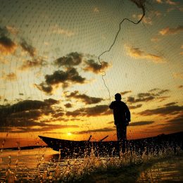 Nota do Ministério da Pesca e Aquicultura sobre a pesca da piracatinga