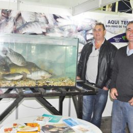 Piscicultura será destaque na AgroPonte 2014