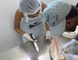 Adapec promove curso de tecnologia e processamento de pescados