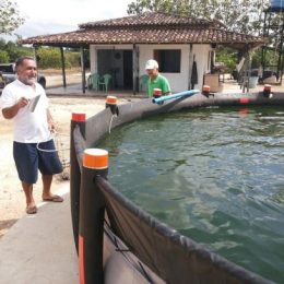Emater incentiva piscicultura em tanque de lona em Capitão Poço