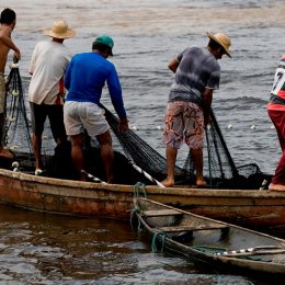 Pescador profissional terá 60 dias para renovar licença