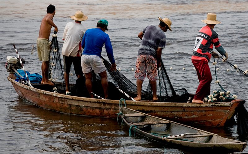 Pescador profissional terá 60 dias para renovar licença
