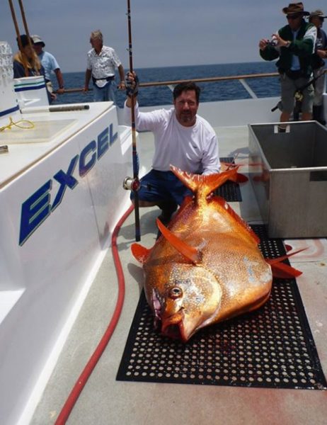 Americano fisga 'peixe esquisito' e bate recorde que durava 16 anos