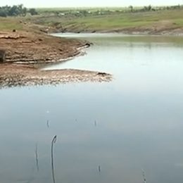 Criação de peixes está prejudicada pela seca em Goiás