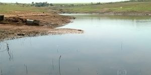 Criação de peixes está prejudicada pela seca em Goiás