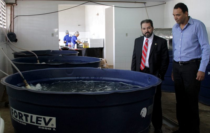 Ministro Eduardo Lopes lança 11ª Semana do Peixe em Brasília