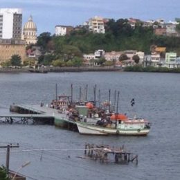 Terminal Pesqueiro de Ilhéus atinge marca de 130 toneladas de pescado desembarcados