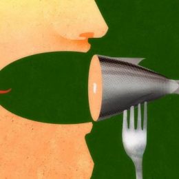 Conheça dicas para comprar e preparar peixes