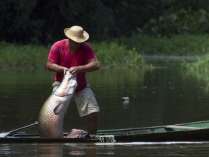 Processo seletivo tem 15 vagas para mestrado em aquicultura, no AM