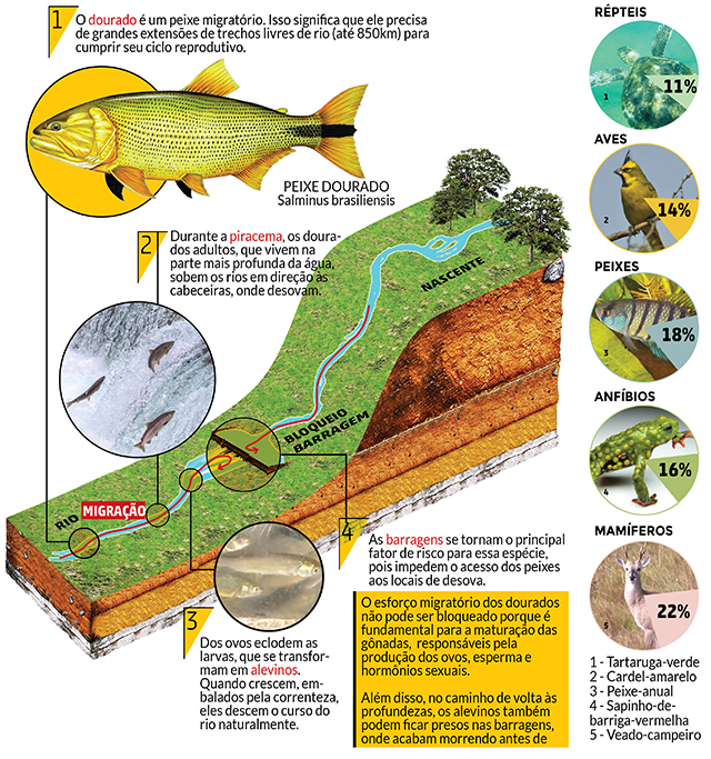 Peixe dourado emperra publicação de lista de animais em extinção