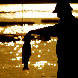 Começa em setembro a manutenção da Licença do Pescador Profissional