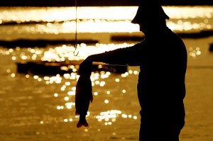 Começa em setembro a manutenção da Licença do Pescador Profissional