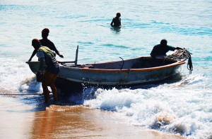 MPA E MAPA fortalecem cooperativismo e associativismo no setor pesqueiro 