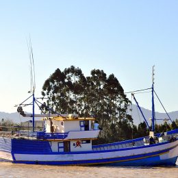 Inscrição para adesão ao programa de óleo diesel mais barato para pescador é prorrogada