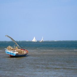 MPA inicia instalação gratuita de rastreador em embarcações de pesca de lagosta