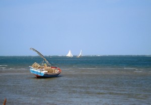 MPA inicia instalação gratuita de rastreador em embarcações de pesca de lagosta