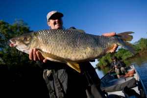 Benefício de desoneração de folha de pagamento do setor de Pesca e Aquicultura será permanente 
