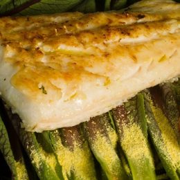 Dica gastronômica: Festival de Peixes da Amazônia no Rio de Janeiro
