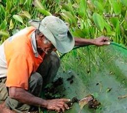 Pesca e meio ambiente Pantaneiro são discutidos em evento no MS