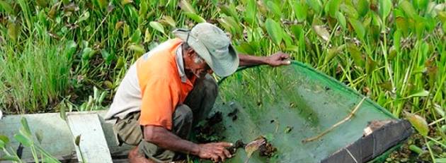Pesca e meio ambiente Pantaneiro são discutidos em evento no MS