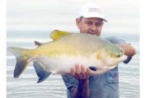 Produção de peixes no Tocantins cresceu 130% em quatro anos