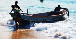 MPA irá revolucionar a gestão pesqueira no país 