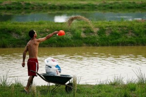 Viveiros-escavados beneficiam 21 mil famílias e aquicultura registra grandes avanços 