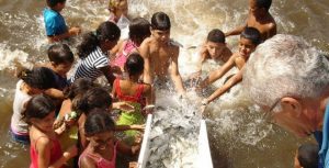 Mais de nove milhões de alevinos foram produzidos pela Codevasf em 2014