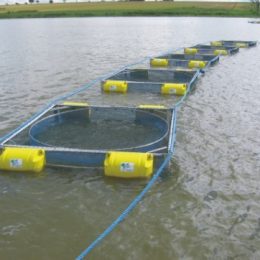 Equipamento monitora índices físicos químicos de tanques rede