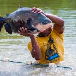 Pesquisa calcula capacidade de produção de peixes em reservatório