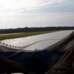 Produtores de Tangará da Serra recebem treinamento sobre piscicultura