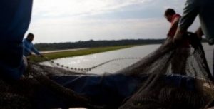 Produtores de Tangará da Serra recebem treinamento sobre piscicultura