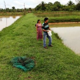 Produtores destacam fartura na produção de pescados