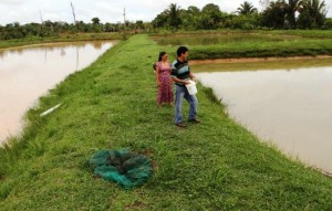 Produtores destacam fartura na produção de pescados