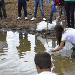 Peixamento promovido pela Codevasf repovoa açude no sertão de Pernambuco
