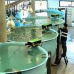 Guabi investe na exportação e participa da VIV Asia 2015