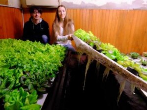 Produção caseira de peixes e hortaliças se desenvolve na Europa