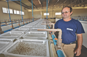 Parceria contempla 500 famílias em Vale de São Domingos