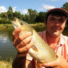 Criadores de peixes de Caxias do Sul já projetam próxima Páscoa